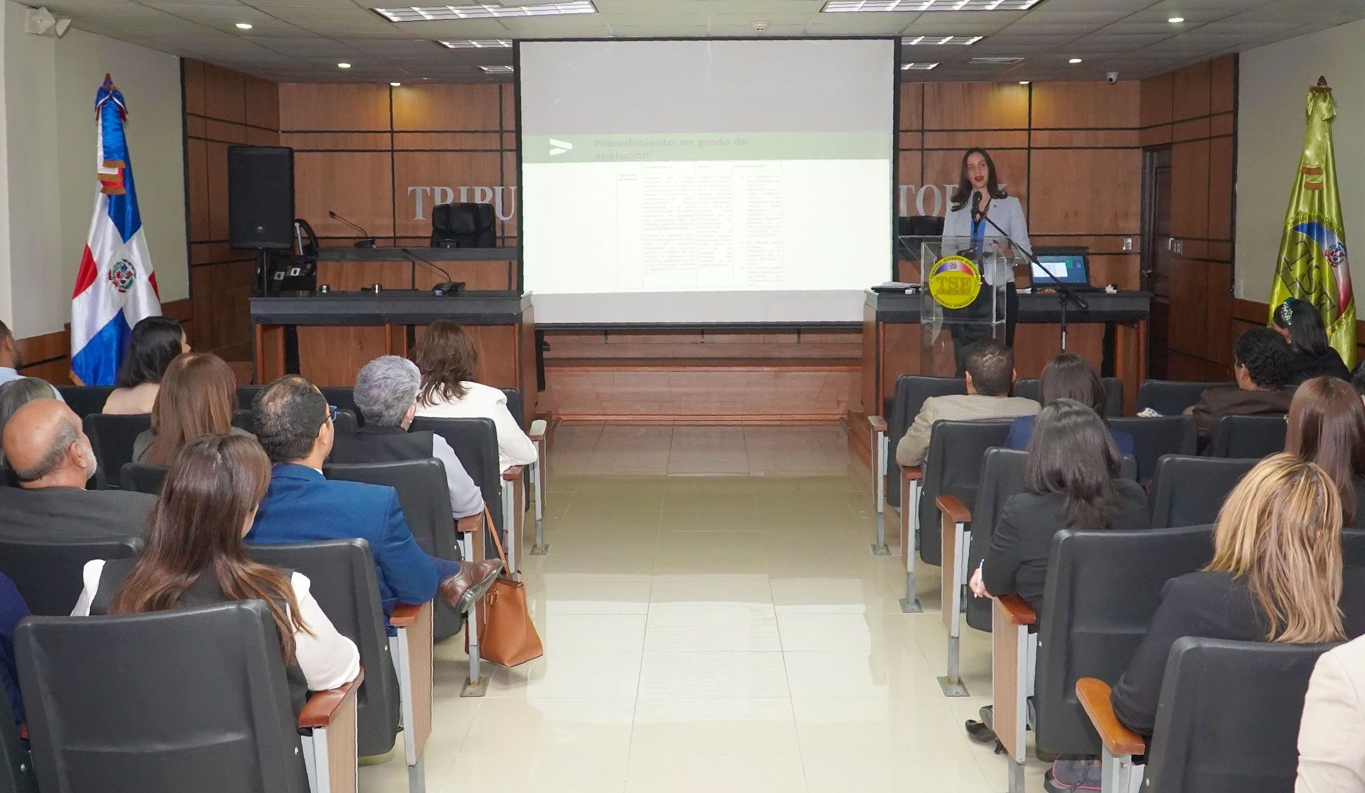 TSE imparte taller “Derecho Procesal Electoral” a abogados ayudantes