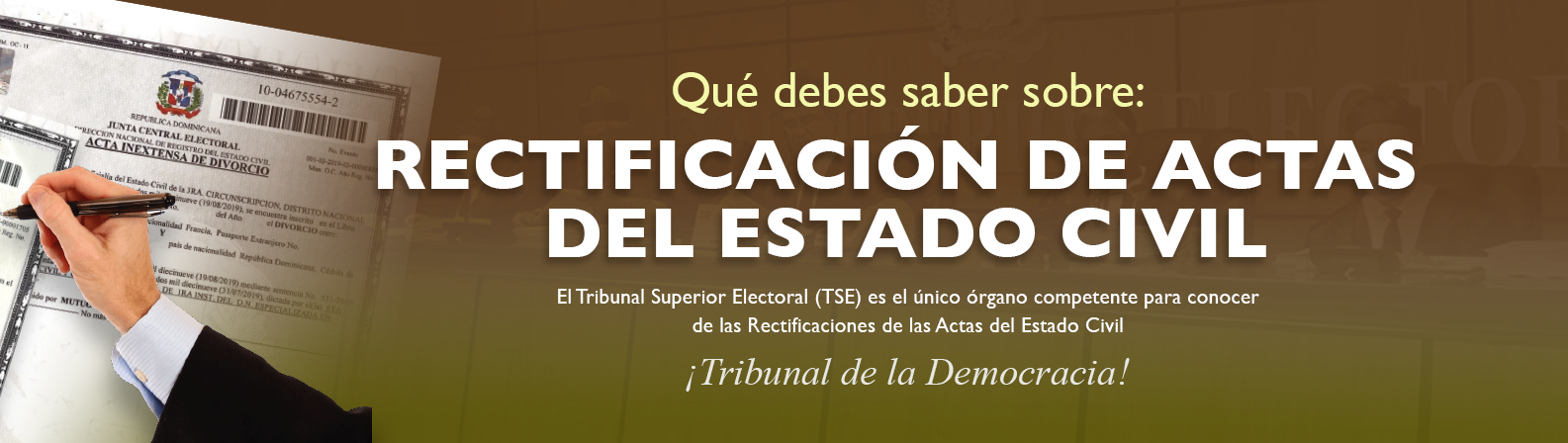 Banner Rectificación